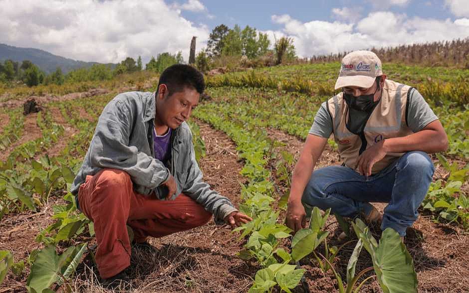 Water-Smart Agriculture: CRS' innovative approach to mitigating climate change's impact in Central America